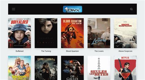 megaupload film 1 divx.